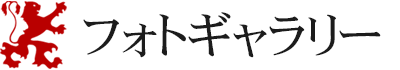 フォトギャラリー